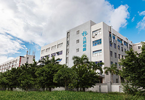Branch company
