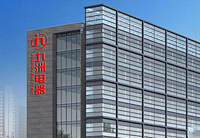 Branch company